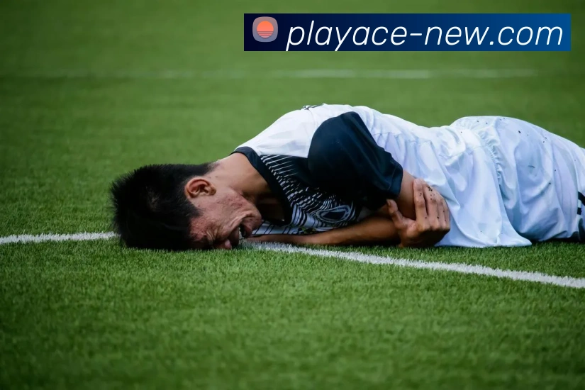 多媒体互动体验