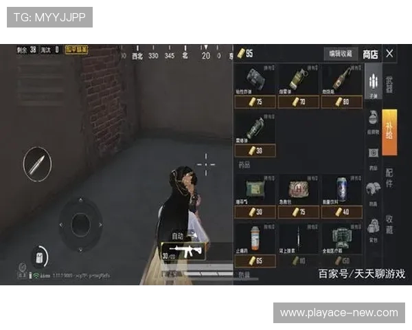 如何在游戏中快速免费获得各种载具技巧与方法分享